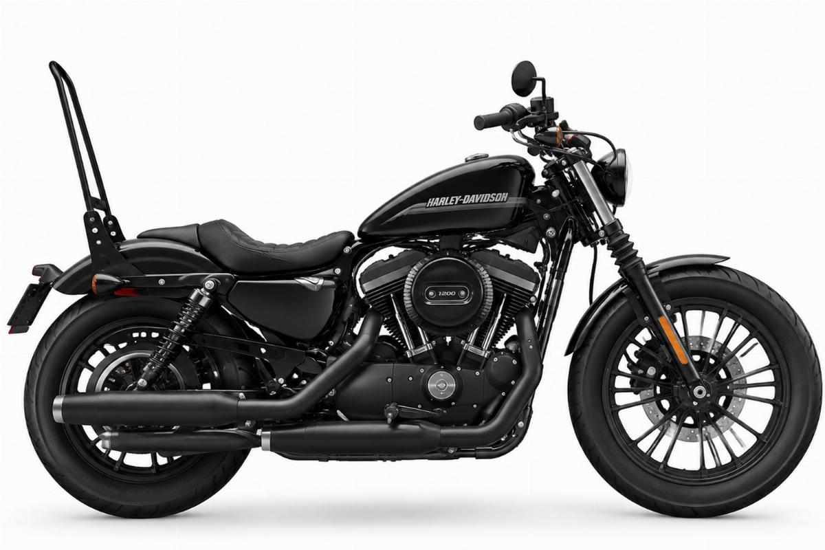 Sissy bar for harley-davidson sportster in black powder coat side view